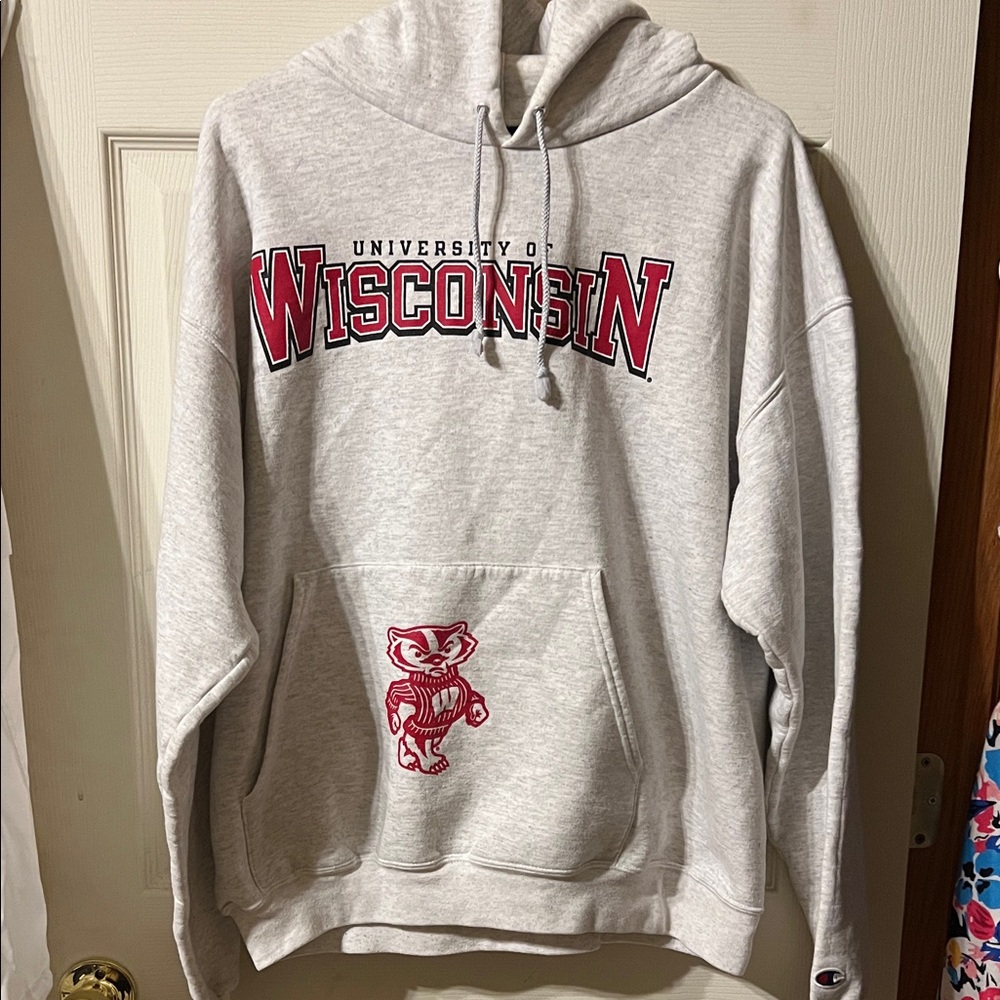 Vintage Wisconsin badgers champion sweatshirt